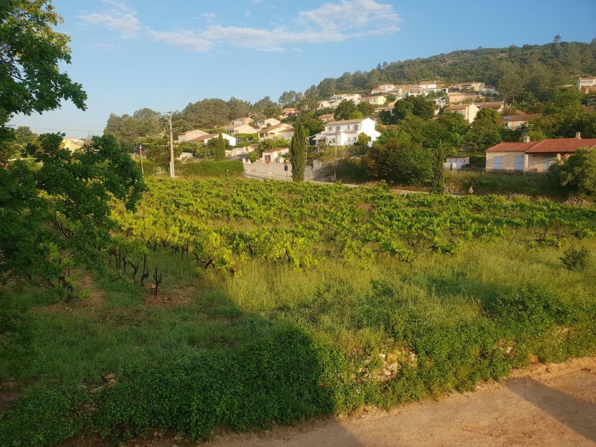 Villa Marie - Provence Cote D'Azur Cabasse Dış mekan fotoğraf